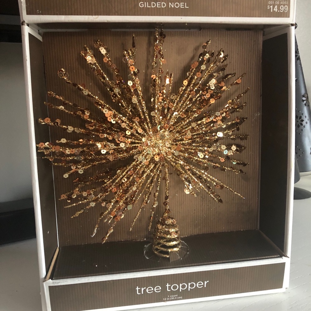 Gilded Star Christmas Tree Topper